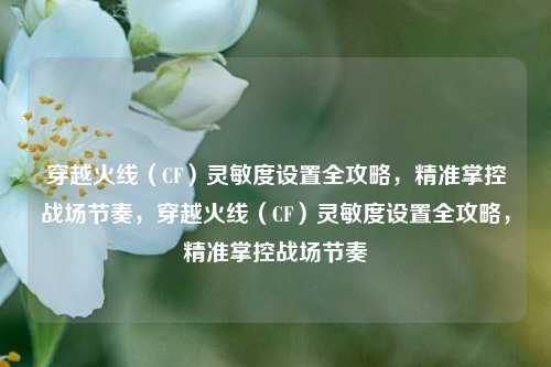 穿越火线（CF）灵敏度设置全攻略，精准掌控战场节奏，穿越火线（CF）灵敏度设置全攻略，精准掌控战场节奏