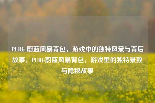 PUBG 蔚蓝风暴背包，游戏中的独特风景与背后故事，PUBG蔚蓝风暴背包，游戏里的独特景致与隐秘故事