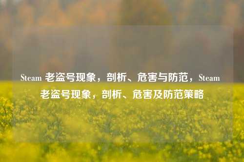 Steam 老盗号现象，剖析、危害与防范，Steam 老盗号现象，剖析、危害及防范策略