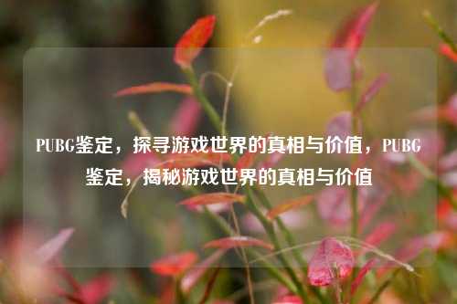 PUBG鉴定，探寻游戏世界的真相与价值，PUBG鉴定，揭秘游戏世界的真相与价值