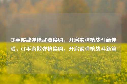 CF手游散弹枪武器换购，开启霰弹枪战斗新体验，CF手游散弹枪换购，开启霰弹枪战斗新篇