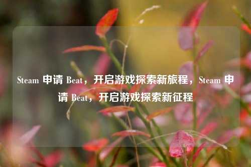 Steam 申请 Beat，开启游戏探索新旅程，Steam 申请 Beat，开启游戏探索新征程