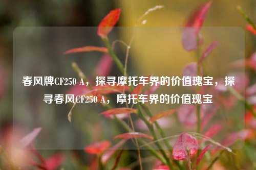 春风牌CF250 A，探寻摩托车界的价值瑰宝，探寻春风CF250 A，摩托车界的价值瑰宝