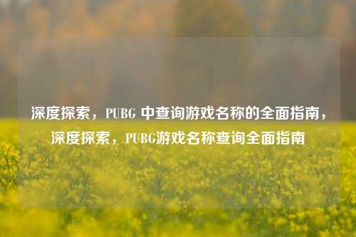 深度探索，PUBG 中查询游戏名称的全面指南，深度探索，PUBG游戏名称查询全面指南