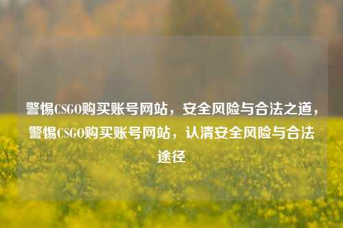 警惕CSGO购买账号网站，安全风险与合法之道，警惕CSGO购买账号网站，认清安全风险与合法途径