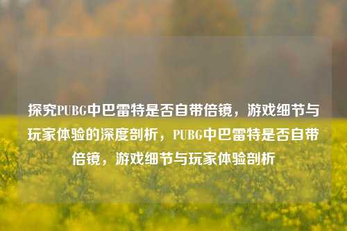 探究PUBG中巴雷特是否自带倍镜，游戏细节与玩家体验的深度剖析，PUBG中巴雷特是否自带倍镜，游戏细节与玩家体验剖析