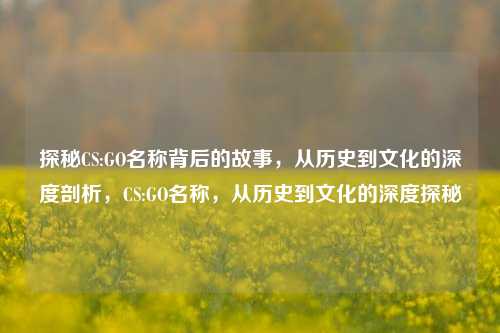 探秘CS:GO名称背后的故事，从历史到文化的深度剖析，CS:GO名称，从历史到文化的深度探秘