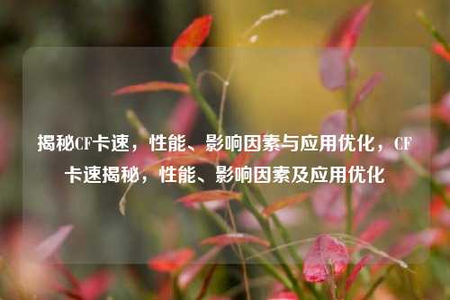 揭秘CF卡速，性能、影响因素与应用优化，CF卡速揭秘，性能、影响因素及应用优化
