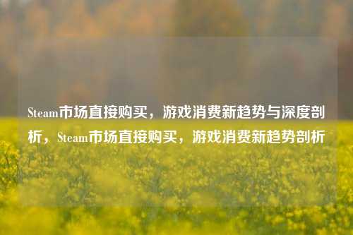 Steam市场直接购买，游戏消费新趋势与深度剖析，Steam市场直接购买，游戏消费新趋势剖析
