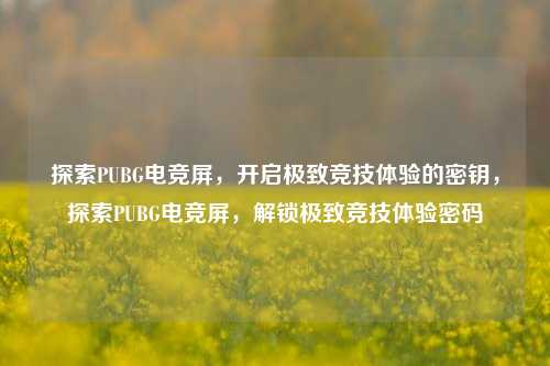 探索PUBG电竞屏，开启极致竞技体验的密钥，探索PUBG电竞屏，解锁极致竞技体验密码