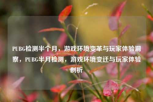 PUBG检测半个月，游戏环境变革与玩家体验洞察，PUBG半月检测，游戏环境变迁与玩家体验剖析