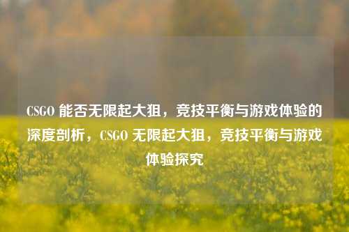 CSGO 能否无限起大狙，竞技平衡与游戏体验的深度剖析，CSGO 无限起大狙，竞技平衡与游戏体验探究