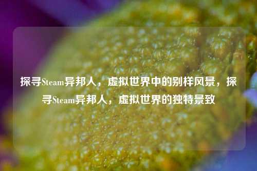 探寻Steam异邦人，虚拟世界中的别样风景，探寻Steam异邦人，虚拟世界的独特景致