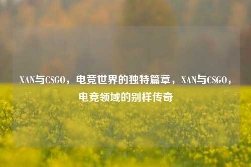 XAN与CSGO，电竞世界的独特篇章，XAN与CSGO，电竞领域的别样传奇
