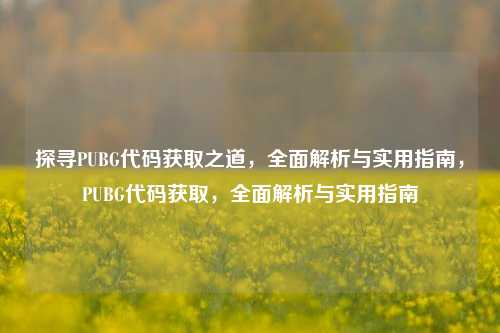 探寻PUBG代码获取之道，全面解析与实用指南，PUBG代码获取，全面解析与实用指南