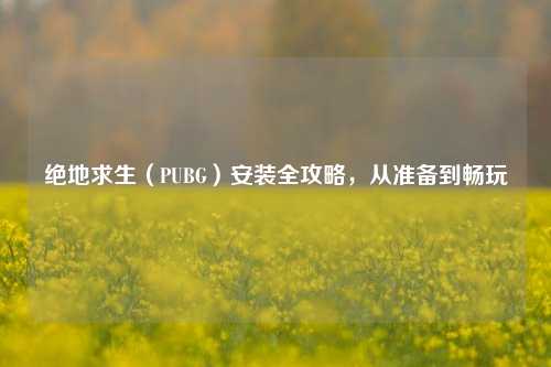 绝地求生（PUBG）安装全攻略，从准备到畅玩