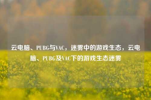 云电脑、PUBG与VAC，迷雾中的游戏生态，云电脑、PUBG及VAC下的游戏生态迷雾