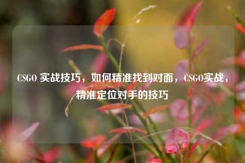 CSGO 实战技巧，如何精准找到对面，CSGO实战，精准定位对手的技巧