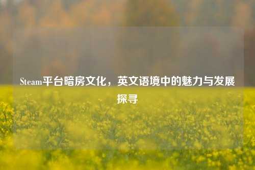 Steam平台暗房文化，英文语境中的魅力与发展探寻