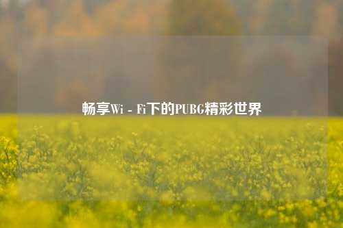 畅享Wi - Fi下的PUBG精彩世界