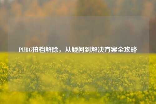 PUBG拍档解除，从疑问到解决方案全攻略