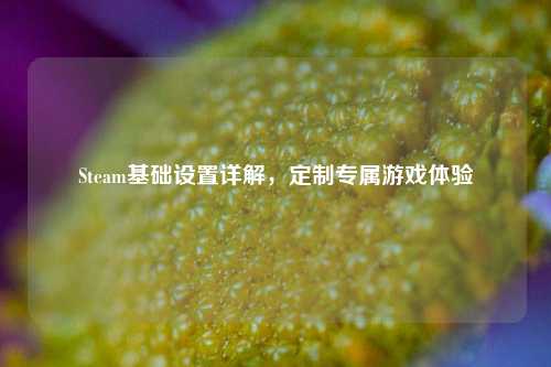 Steam基础设置详解，定制专属游戏体验