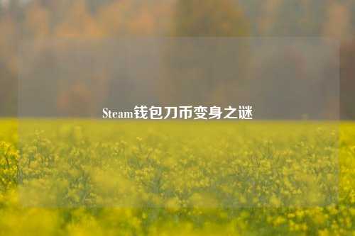 Steam钱包刀币变身之谜