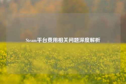 Steam平台费用相关问题深度解析