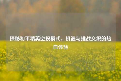 探秘和平精英空投模式，机遇与挑战交织的热血体验