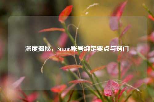 深度揭秘，Steam账号绑定要点与窍门
