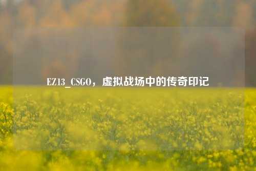 EZ13_CSGO，虚拟战场中的传奇印记