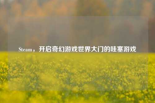 Steam，开启奇幻游戏世界大门的哇塞游戏