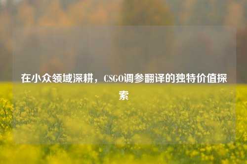 在小众领域深耕，CSGO调参翻译的独特价值探索