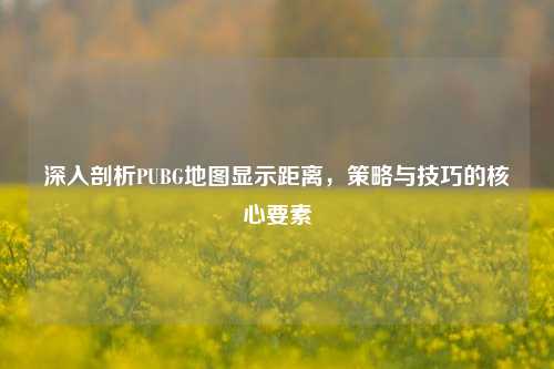 深入剖析PUBG地图显示距离，策略与技巧的核心要素