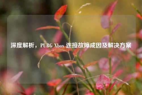 深度解析，PUBG Xbox 连接故障成因及解决方案