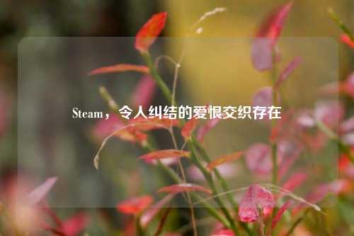 Steam，令人纠结的爱恨交织存在