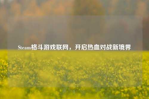 Steam格斗游戏联网，开启热血对战新境界