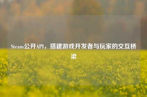 Steam公开API，搭建游戏开发者与玩家的交互桥梁