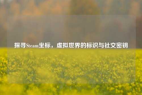 探寻Steam坐标，虚拟世界的标识与社交密钥