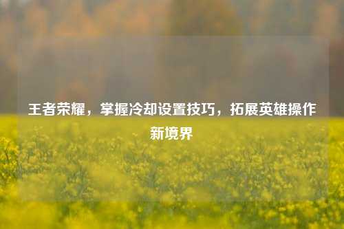王者荣耀，掌握冷却设置技巧，拓展英雄操作新境界