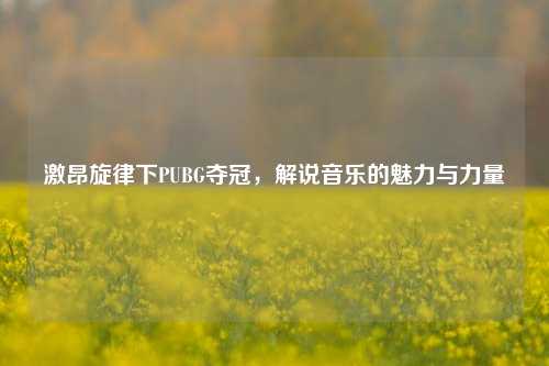 激昂旋律下PUBG夺冠，解说音乐的魅力与力量