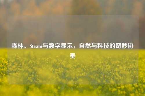 森林、Steam与数字显示，自然与科技的奇妙协奏