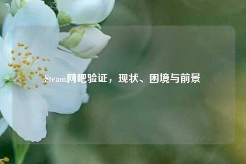 Steam网吧验证，现状、困境与前景