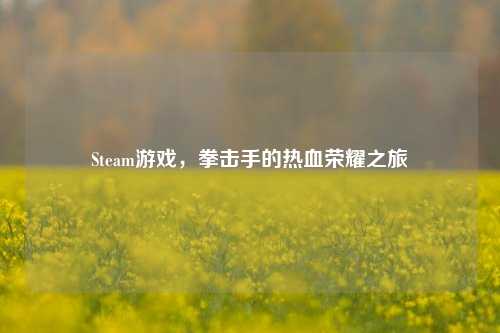Steam游戏，拳击手的热血荣耀之旅