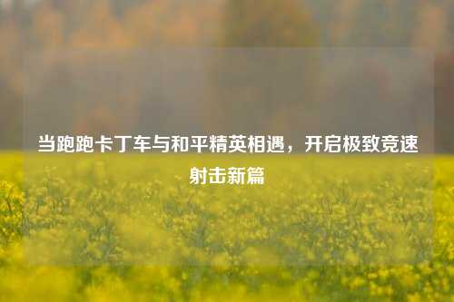 当跑跑卡丁车与和平精英相遇，开启极致竞速射击新篇