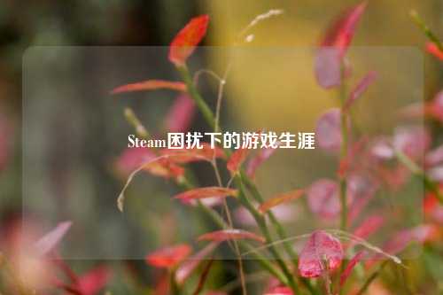 Steam困扰下的游戏生涯