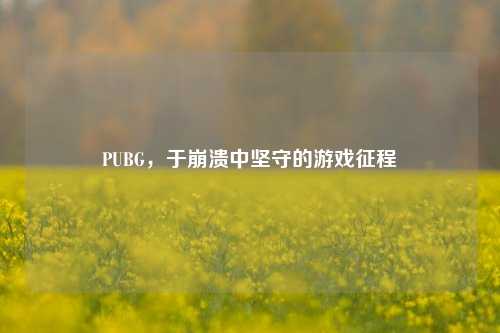 PUBG，于崩溃中坚守的游戏征程
