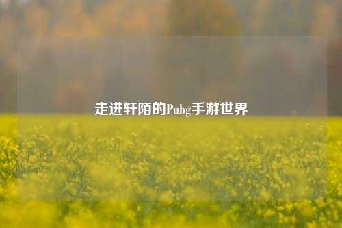 走进轩陌的Pubg手游世界