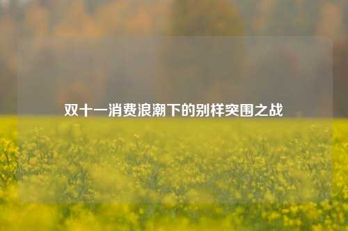 双十一消费浪潮下的别样突围之战