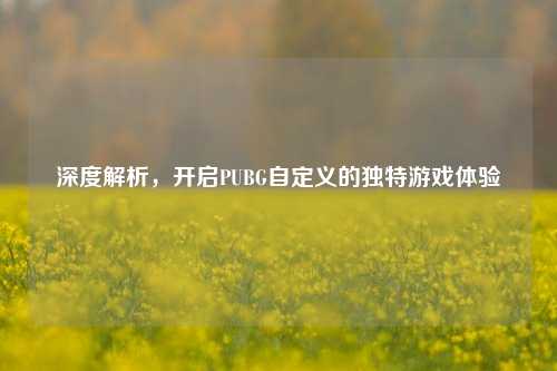 深度解析，开启PUBG自定义的独特游戏体验